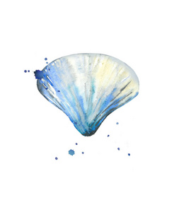 抽象的蓝色贝壳和斑点。白色背景上孤立的水彩画插图。