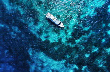 逃走 海洋 旅行 浮动 自然 海湾 夏天 泻湖 天线 波动