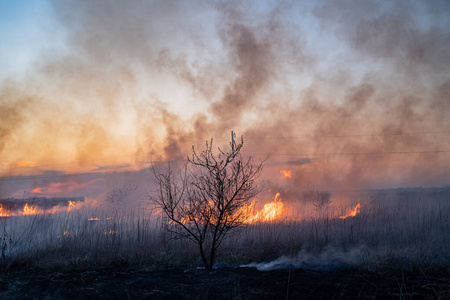 burns dry grass in sky smoke. 