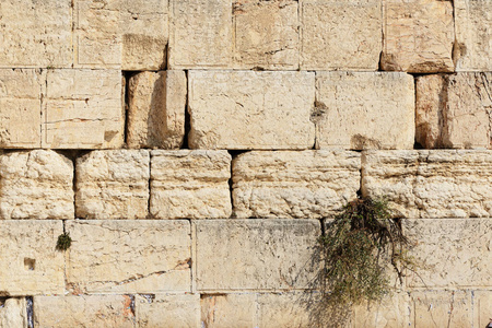 穹顶 岩石 旅游业 耶路撒冷 建筑学 历史 旅行 建筑 宗教