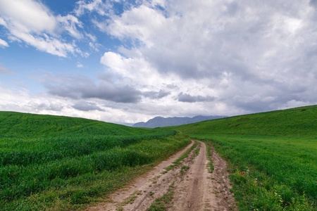 农场 地球 风景 地平线 植物 丘陵 美丽的 森林 领域