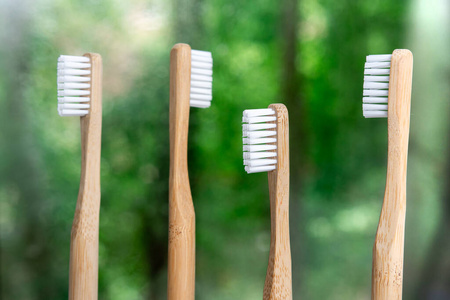 最小值 个人的 木材 工具 自然 卫生 竹子 牙医 特写镜头