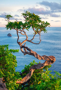 天堂 旅行 墙纸 夏天 假期 海岸 海景 日落 海洋 风景