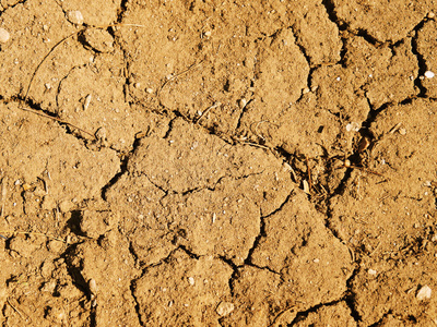 土壤土块图片