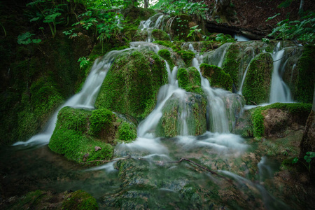 旅行 克罗地亚 风景 欧洲 木材 自然 冒险 森林 秋天