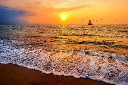 日出 航海 轮廓 风景 形成 波动 日落 海洋 帆船 冲浪