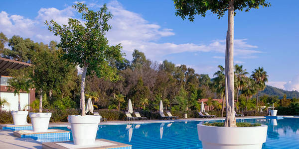 豪华酒店游泳池。满是蓝水的游泳池。旅行概念，旅行。酒店业务。