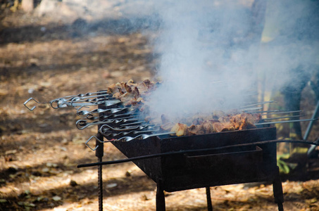 猪肉 扦子 火焰 晚餐 烧烤 木炭 牛肉 野餐 午餐 夏天