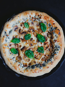 烹饪 奶酪 餐厅 大蒜 蘑菇 特写镜头 披萨 菠菜 小吃