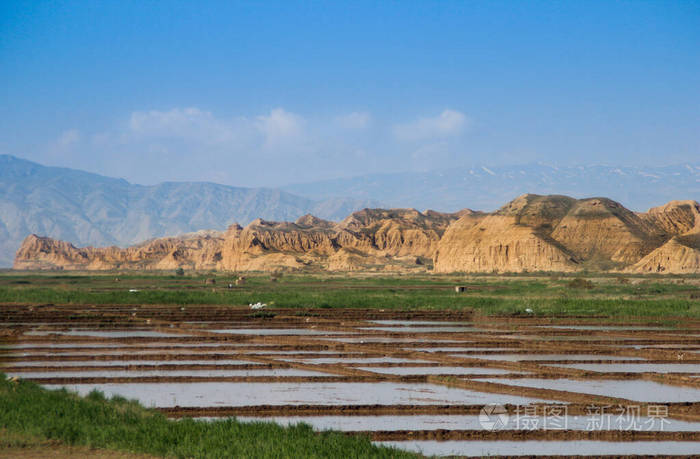 环境 收获 阳光 旅游业 自然 农场 种子 天空 植物 山谷