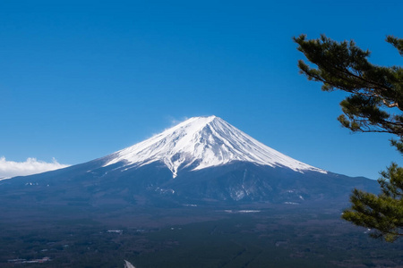 风景 公吨 川口 早晨 攀登 季节 富士 美女 分支 城市