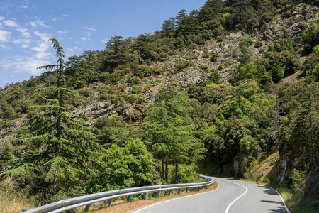 自然 森林 公园 风景 旅行 美丽的 旅游业