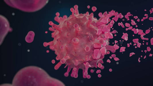 新型冠状病毒 微生物学 破坏 光晕 免疫 大流行 粉红色