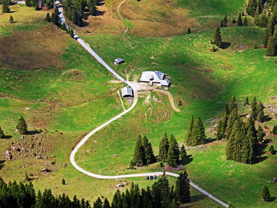 旅行 风景 瑞士人 生态学 小山 自然 村庄 美丽的 欧洲