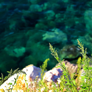 夏天 美丽的 旅游业 海湾 海滩 海景 假期 海岸线 美女