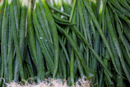 特写镜头 花园 自然 春天 健康 食物 农业 植物区系 草本植物