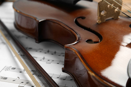 奢侈 大提琴 和弦 复古的 音乐会 工具 小提琴 爱好 古董