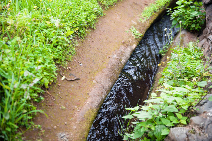 领域 风景 美丽的 水路 植物 河道 农场 农业 流动 灌溉