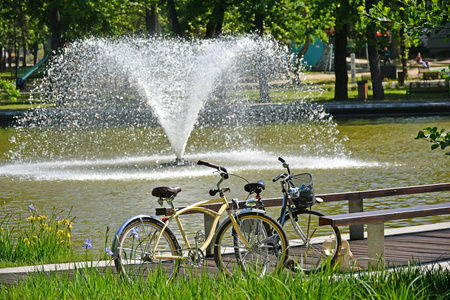 春天 匈牙利 自行车 自然 德布勒森 旅游 伍兹 运输 流动的