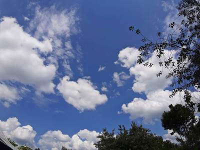 和平 场景 氧气 颜色 夏天 高的 臭氧 空气 云景 自由