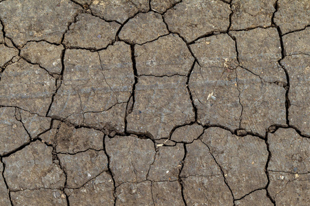 气候 生态学 夏天 损害 热的 变暖 土地 黏土 自然 灾难