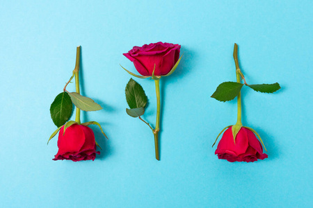 植物 庆祝 婚礼 周年纪念日 情人 浪漫的 开花 玫瑰 粉红色