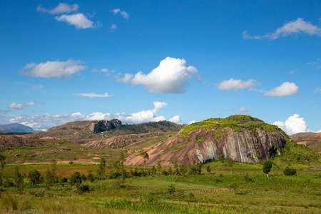 颜色 旅行 夏天 美丽的 地方病 风景 领域 热带 栽培