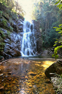 泼洒 瀑布 流动 森林 澳大利亚 公园 流动的 旅行 岩石