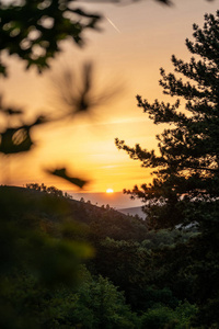 自然 美女 日出 夏天 傍晚 森林 黄昏 草地 领域 太阳