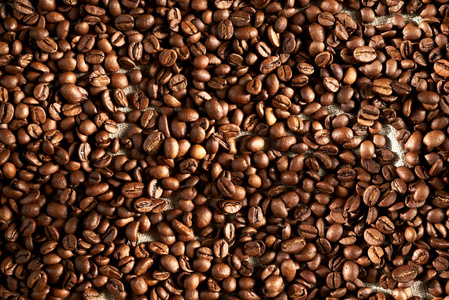 种子 咖啡 纹理 摩卡 浓缩咖啡 饮料 食物 咖啡馆 芳香