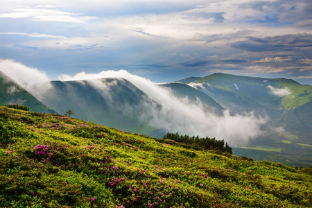 阿尔卑斯山 喀尔巴阡山 风景 季节 草地 欧洲 自然 小山