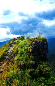 曲线 山坡 阳光 植物 印第安人 国家的 风景 乡村 美丽的