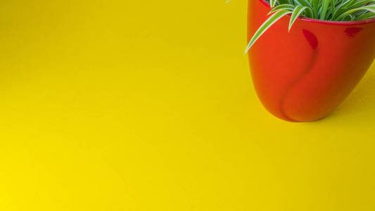 Red pot with a green flowerpot on a yellow background. 