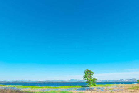 夏天 天空 森林 落下 环境 自然 公园 岩石 美丽的 木材