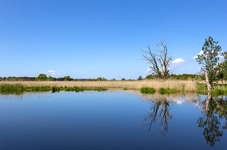 柳树河边图片-柳树河边素材-柳树河边插画-摄图新视界