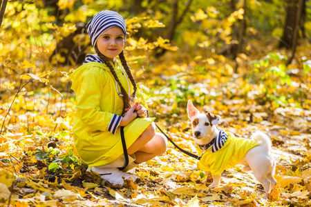 狗在阳光下图片-狗在阳光下素材-狗在阳光下插画-摄图新视界