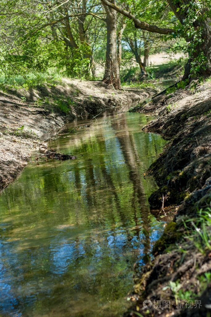 阳光明媚的夏日森林里美丽的小溪垂直方向