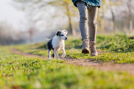 外部 步行 跑步 小狗 女人 在一起 犬科动物 哺乳动物