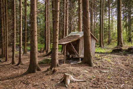 小屋 建筑学 旅行 美丽的 房子 废墟 建筑 风景 农场