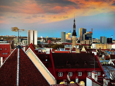 美丽的 波罗的海 城市景观 城市 旅行 爱沙尼亚 日落 天空
