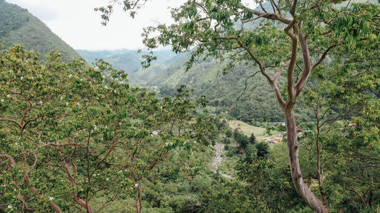 旅行 假期 追踪 风景 村庄 哥伦比亚 山谷 森林 天际线