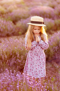 field of lavender. little girl at Sunset. 