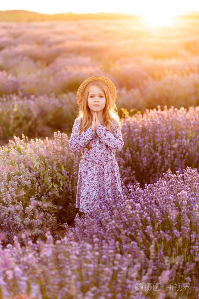 田野薰衣草长发金发的小女孩