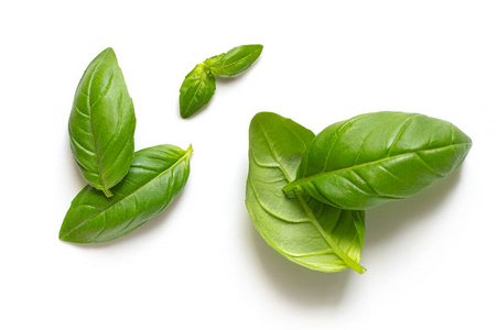 草本植物 树叶 素食主义者 食物 生长 自然 特写镜头 风味