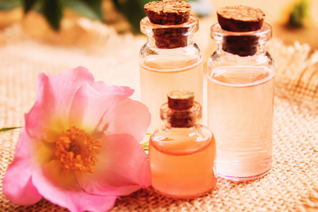 芳香 美女 玫瑰 瓶子 自然 水疗中心 香水 健康 本质
