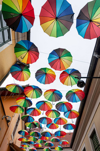 外部 保护 街道 城市 阳伞 手柄 艺术 颜色 旅行 品种