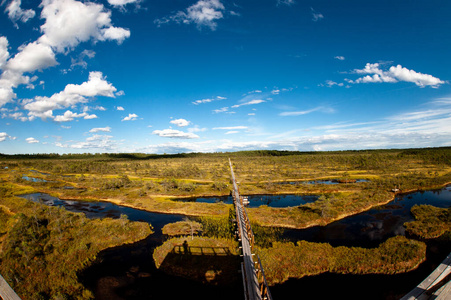 沼泽 天空 美女 风景 反射 自然 轨道 美丽的 旅行 公园