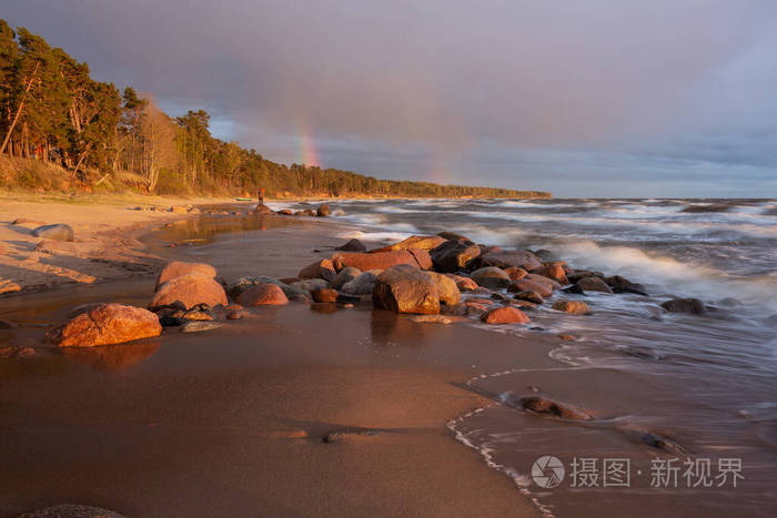 国家的 海岸 拉脱维亚 海洋 欧洲 日落 自然 夏天 图哈