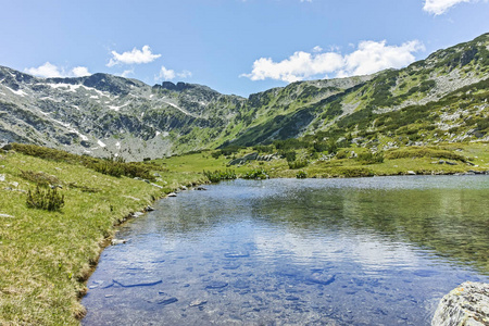 假期 马戏团 旅游业 灌木 森林 风景 夏天 景象 小山