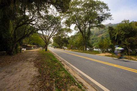 旅行 森林 街道 公园 落下 美丽的 自然 秋天 风景 空的